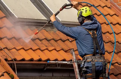 Démoussage et hydrofuge de toiture à Grignols